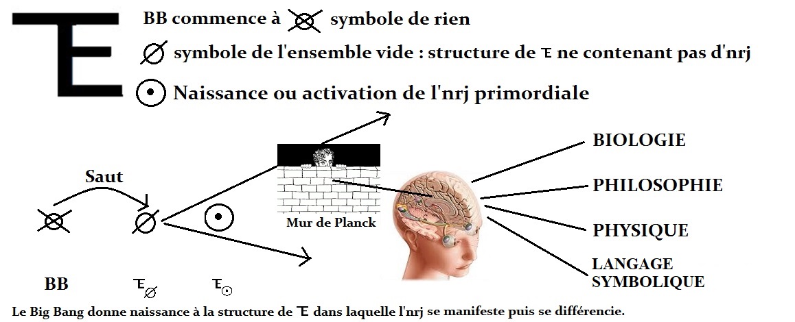 Naissanc ou Activation de l'ern primitive
